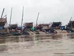 Aktivitas PETI Menjamur di Sintang, Ini Tanggapan Ketua IWO dan Pengamat