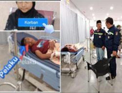 Cabuli N, W Dibacok R, Penyidik: Bisa Keluar Asal Ada Jaminan Rp25 Juta